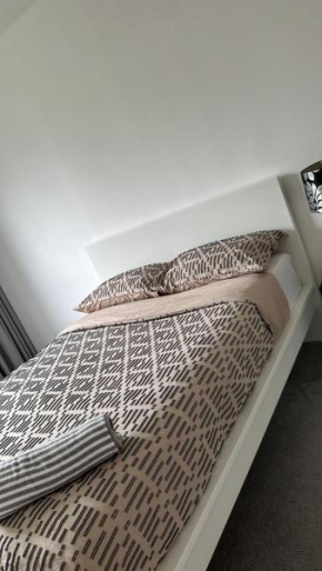 Albert Bridge spacious double room